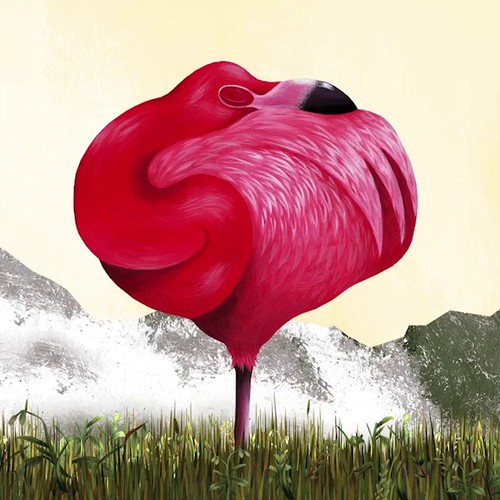 Ein Filmbild aus "Schon gehört?", ein Flamingo schläft auf einer Wiese.