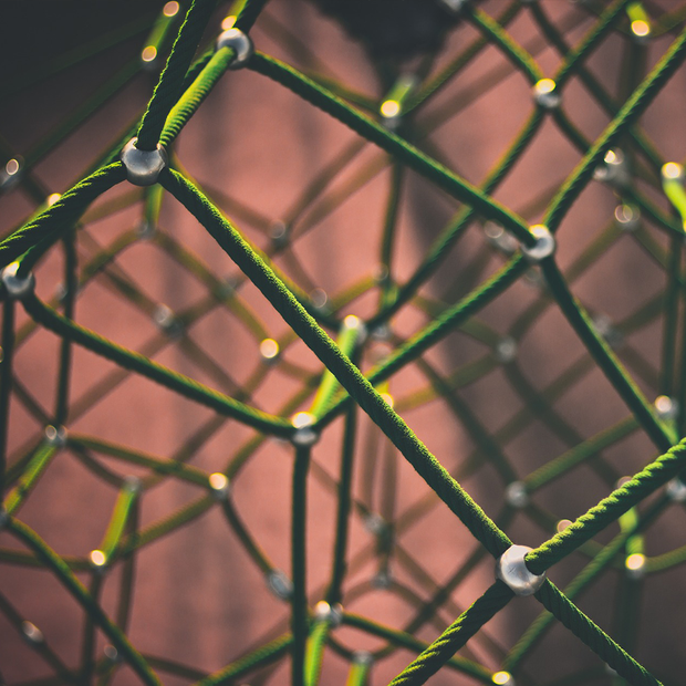 Ein grünes Klettergerüst aus Seilen, die ein Netzwerk bilden.